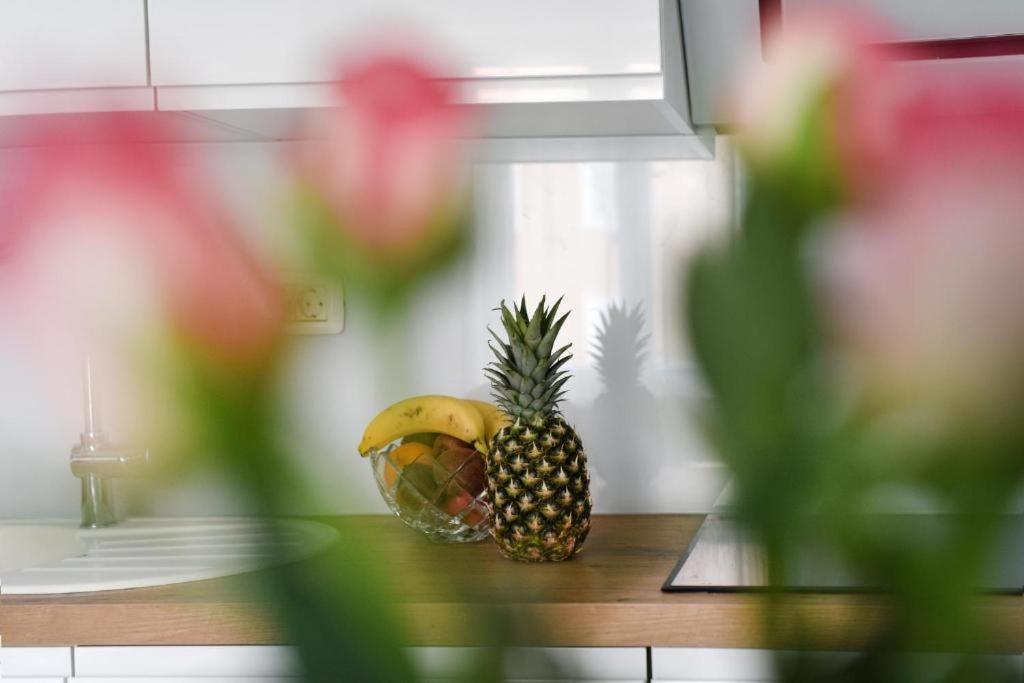 Apartment Lant ザダル エクステリア 写真